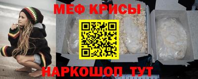 бошки Кингисепп