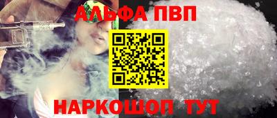 бошки Кингисепп