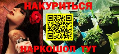 бошки Кингисепп