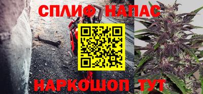 бошки Кингисепп