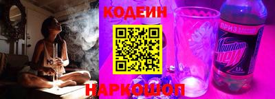 бошки Кингисепп