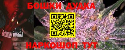 бошки Кингисепп