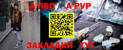 бошки Кингисепп