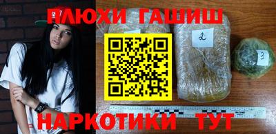 бошки Кингисепп