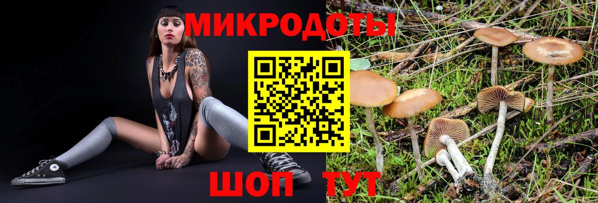 Красноярск  Псилоцибиновые грибы ЛСД  Вход с VPN 